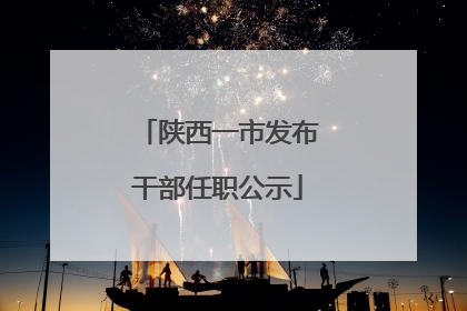 陕西一市发布干部任职公示