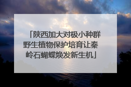 陕西加大对极小种群野生植物保护培育让秦岭石蝴蝶焕发新生机