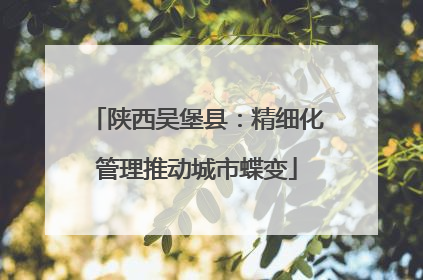 陕西吴堡县：精细化管理推动城市蝶变