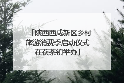 陕西西咸新区乡村旅游消费季启动仪式在茯茶镇举办