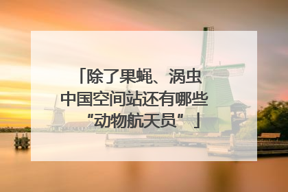 除了果蝇、涡虫 中国空间站还有哪些“动物航天员”