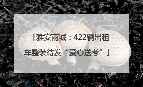 雅安雨城：422辆出租车整装待发“爱心送考”