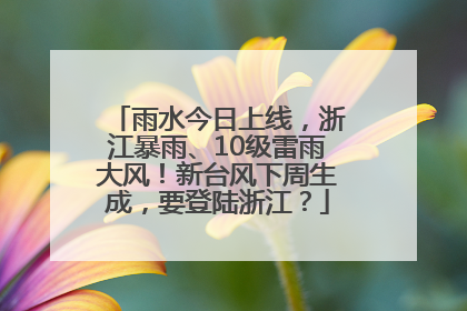 雨水今日上线，浙江暴雨、10级雷雨大风！新台风下周生成，要登陆浙江？