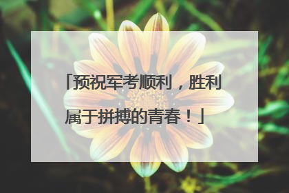 预祝军考顺利，胜利属于拼搏的青春！