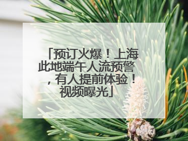 预订火爆！上海此地端午人流预警，有人提前体验！视频曝光