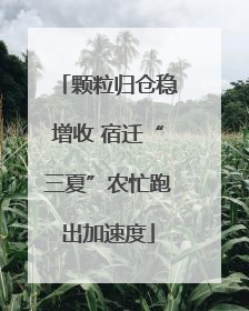 颗粒归仓稳增收 宿迁“三夏”农忙跑出加速度