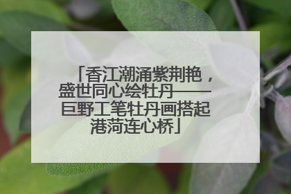香江潮涌紫荆艳，盛世同心绘牡丹——巨野工笔牡丹画搭起港菏连心桥
