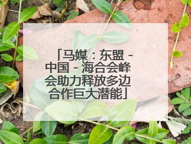 马媒：东盟－中国－海合会峰会助力释放多边合作巨大潜能