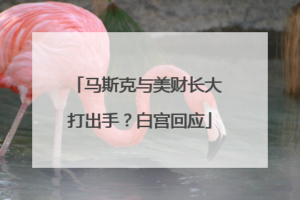 马斯克与美财长大打出手？白宫回应