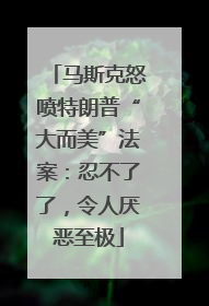 马斯克怒喷特朗普“大而美”法案：忍不了了，令人厌恶至极