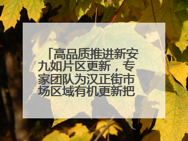 高品质推进新安九如片区更新，专家团队为汉正街市场区域有机更新把脉问诊