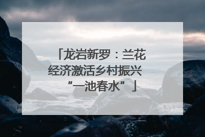 龙岩新罗：兰花经济激活乡村振兴“一池春水”