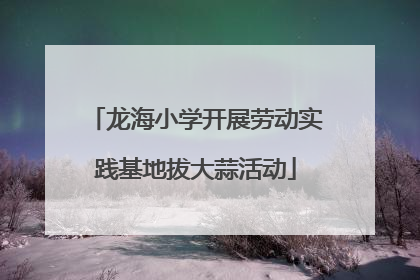 龙海小学开展劳动实践基地拔大蒜活动