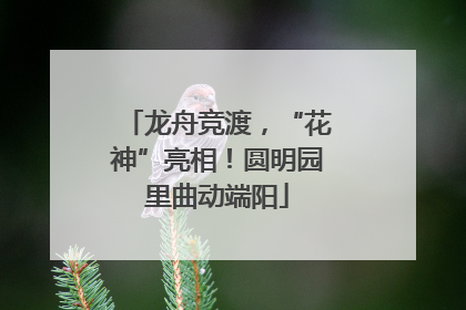 龙舟竞渡，“花神”亮相！圆明园里曲动端阳