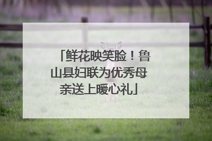 鲜花映笑脸！鲁山县妇联为优秀母亲送上暖心礼
