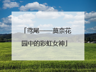 鸢尾——莫奈花园中的彩虹女神