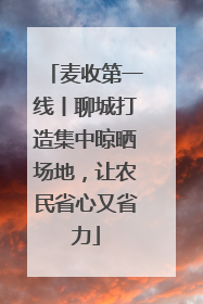 麦收第一线丨聊城打造集中晾晒场地，让农民省心又省力