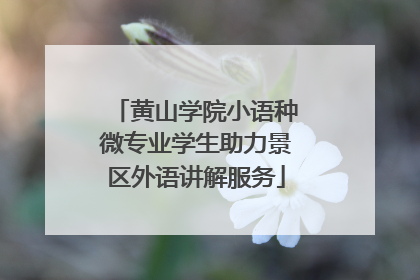 黄山学院小语种微专业学生助力景区外语讲解服务