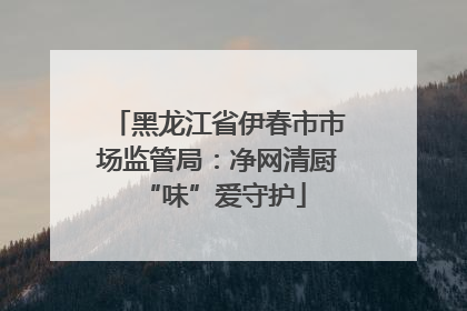 黑龙江省伊春市市场监管局：净网清厨 “味”爱守护
