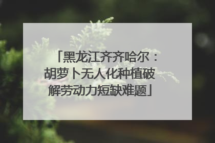 黑龙江齐齐哈尔：胡萝卜无人化种植破解劳动力短缺难题