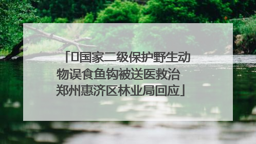 ﻿国家二级保护野生动物误食鱼钩被送医救治 郑州惠济区林业局回应