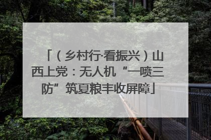 （乡村行·看振兴）山西上党：无人机“一喷三防”筑夏粮丰收屏障