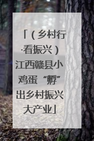 （乡村行·看振兴）江西赣县小鸡蛋“孵”出乡村振兴大产业