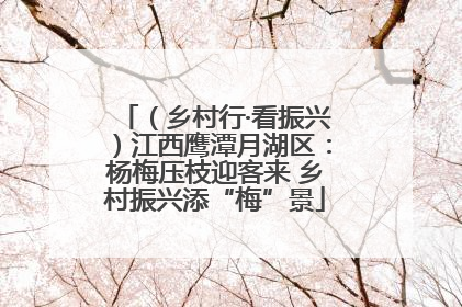 （乡村行·看振兴）江西鹰潭月湖区：杨梅压枝迎客来 乡村振兴添“梅”景