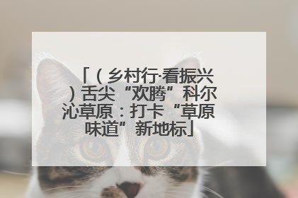 （乡村行·看振兴）舌尖“欢腾”科尔沁草原：打卡“草原味道”新地标