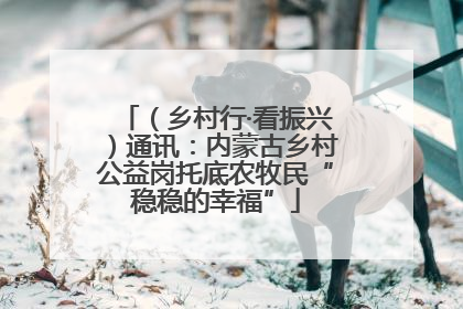 （乡村行·看振兴）通讯：内蒙古乡村公益岗托底农牧民“稳稳的幸福”