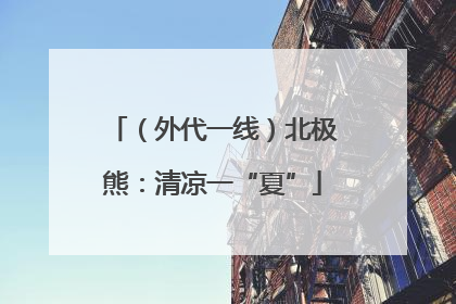 （外代一线）北极熊：清凉一“夏”