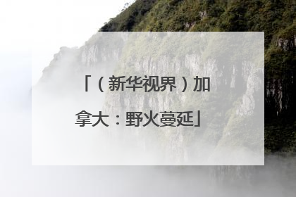（新华视界）加拿大：野火蔓延