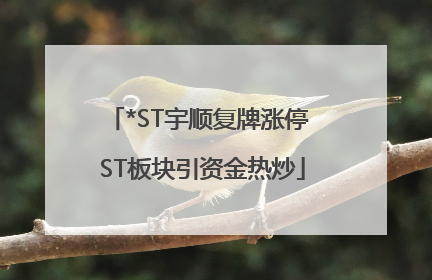 *ST宇顺复牌涨停 ST板块引资金热炒
