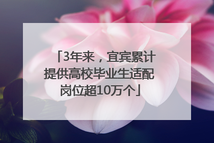 3年来，宜宾累计提供高校毕业生适配岗位超10万个