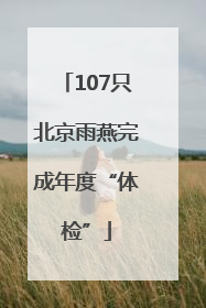 107只北京雨燕完成年度“体检”