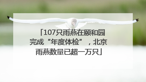 107只雨燕在颐和园完成“年度体检”，北京雨燕数量已超一万只