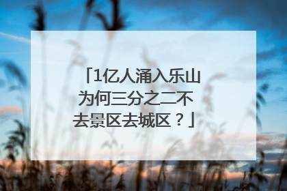 1亿人涌入乐山 为何三分之二不去景区去城区？