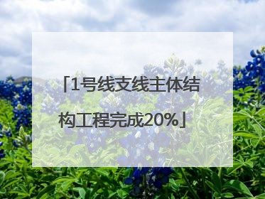 1号线支线主体结构工程完成20%