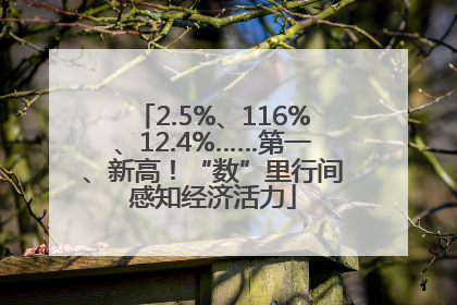 2.5%、116%、12.4%……第一、新高！“数”里行间感知经济活力