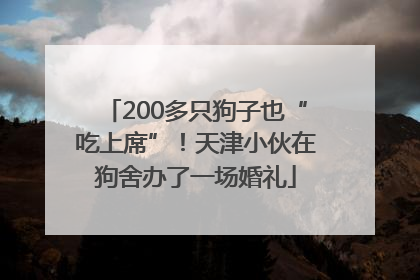 200多只狗子也“吃上席”！天津小伙在狗舍办了一场婚礼