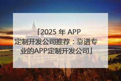 2025 年 APP 定制开发公司推荐：靠谱专业的APP定制开发公司