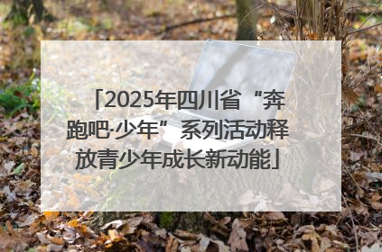 2025年四川省“奔跑吧·少年”系列活动释放青少年成长新动能