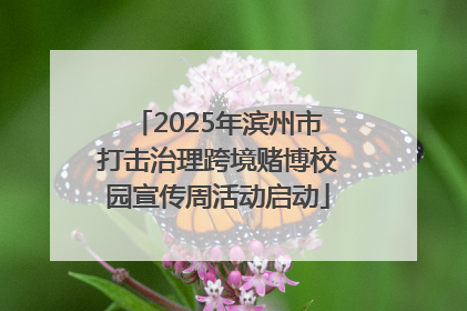 2025年滨州市打击治理跨境赌博校园宣传周活动启动