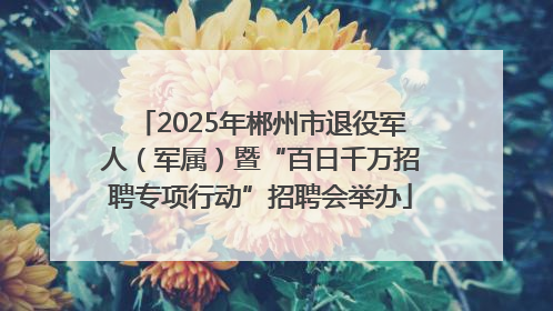 2025年郴州市退役军人（军属）暨“百日千万招聘专项行动”招聘会举办