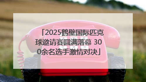 2025鹤壁国际匹克球邀请赛圆满落幕 300余名选手激情对决
