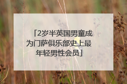 2岁半英国男童成为门萨俱乐部史上最年轻男性会员