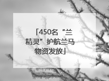 450名“兰精灵”护航兰马物资发放