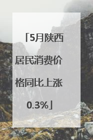 5月陕西居民消费价格同比上涨0.3%