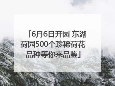 6月6日开园 东湖荷园500个珍稀荷花品种等你来品鉴