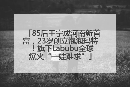 85后王宁成河南新首富，23岁创立泡泡玛特！旗下Labubu全球爆火“一娃难求”